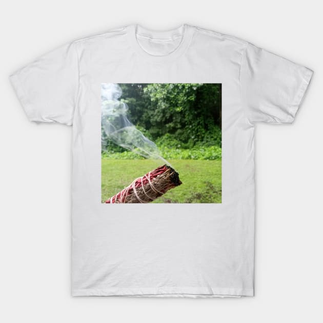 SAGE IT ALL T-Shirt by Fragile Image 